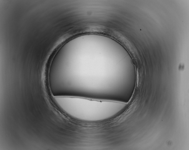 X0000103240435200808281037