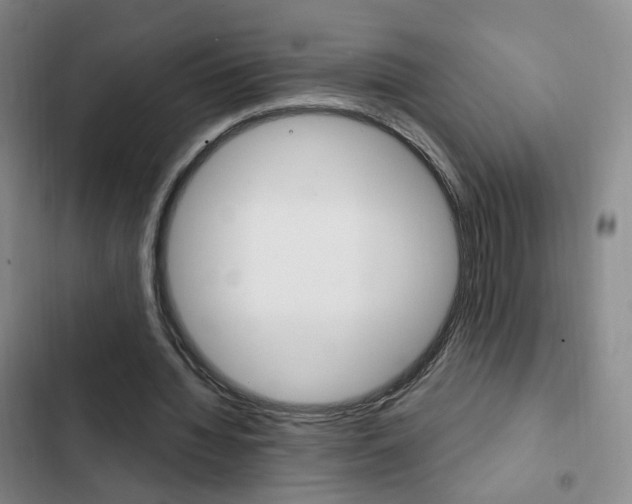 X0000103240436200808281037