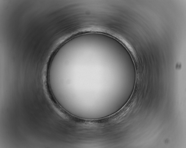 X0000103240437200808281037