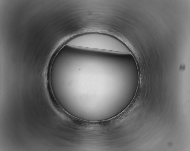 X0000103240438200808281037