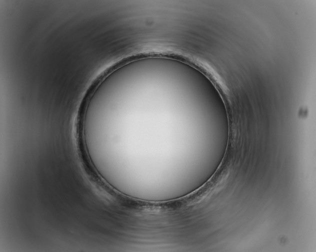 X0000103240439200808281037