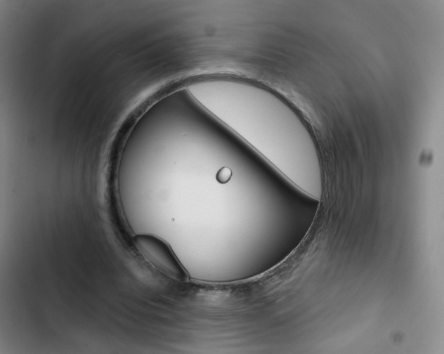 X0000103240440200808281037