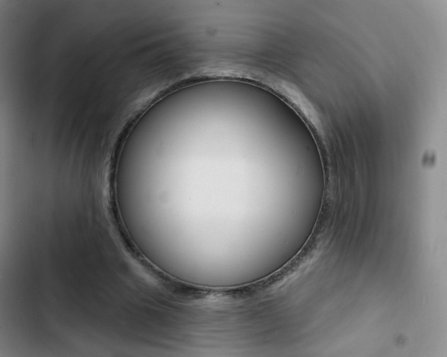X0000103240441200808281037