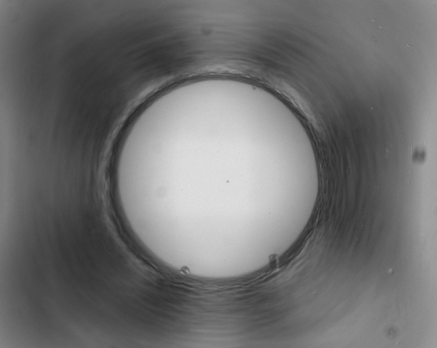 X0000103240444200808281037