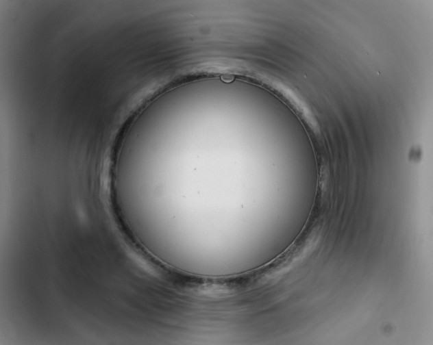 X0000103240445200808281037