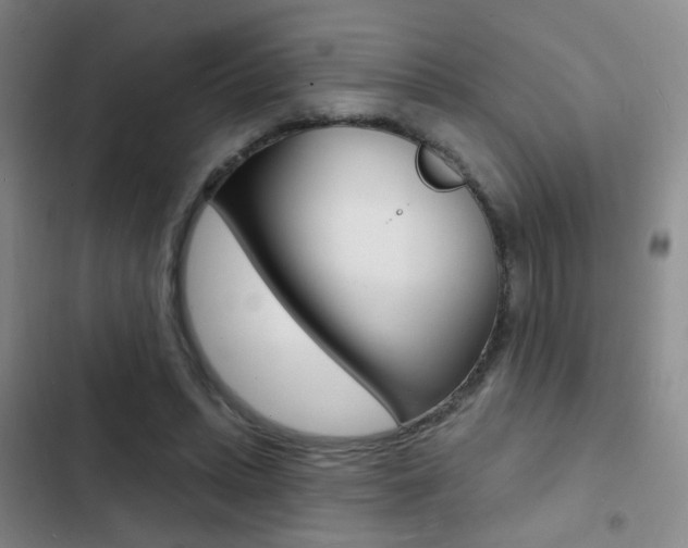 X0000103240447200808281037