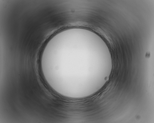 X0000103240448200808281037