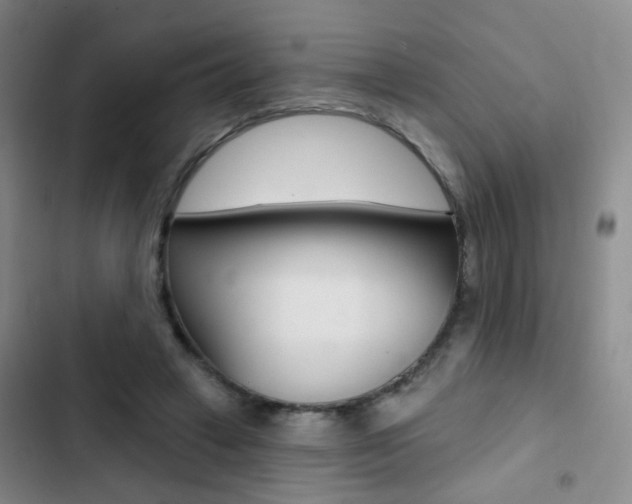 X0000103240449200808281037