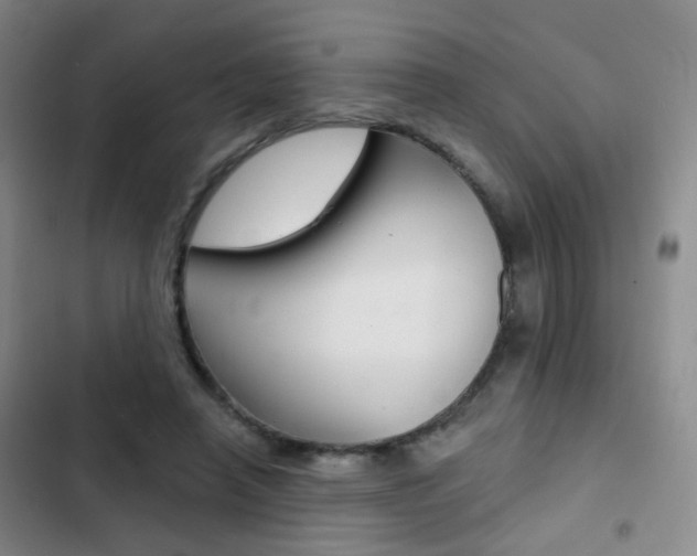 X0000103240450200808281037