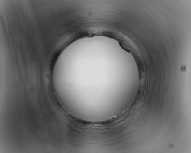 X0000103240452200808281037