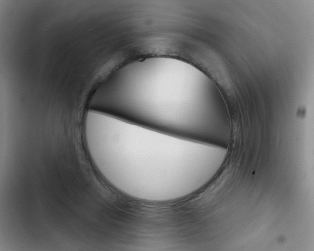 X0000103240453200808281037