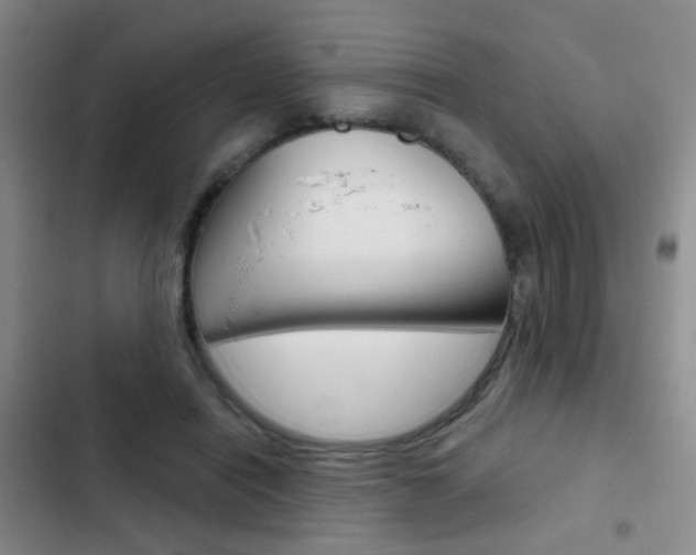 X0000103240454200808281037
