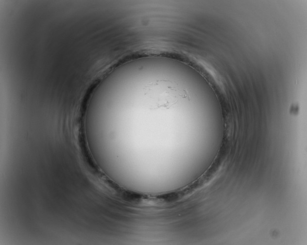 X0000103240455200808281037
