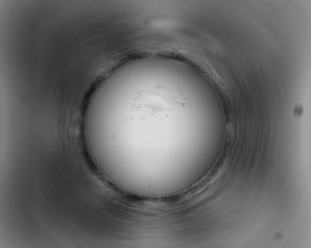 X0000103240458200808281037