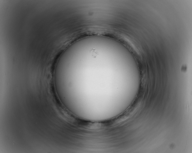 X0000103240459200808281037