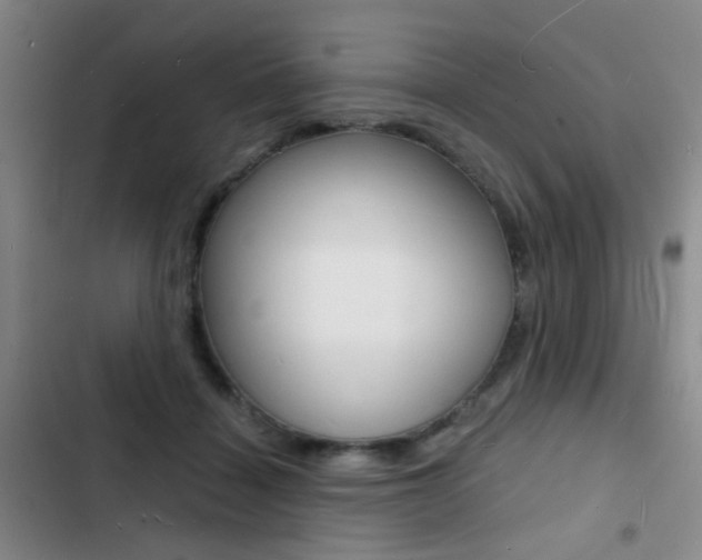 X0000103240460200808281037