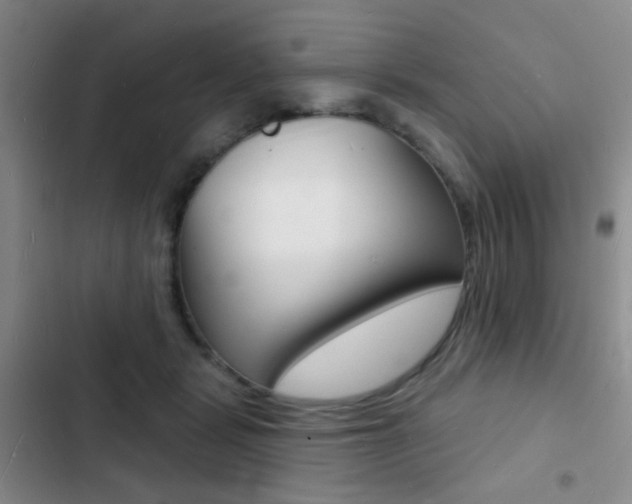X0000103240461200808281037