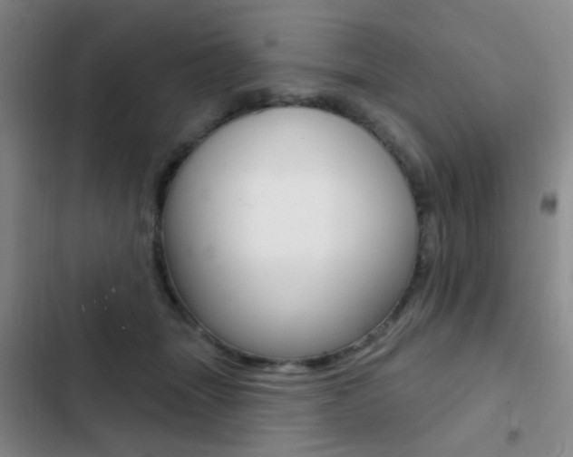X0000103240463200808281037