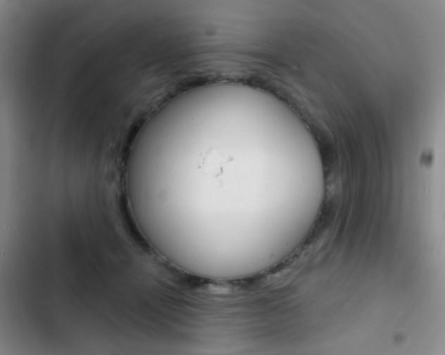 X0000103240464200808281037