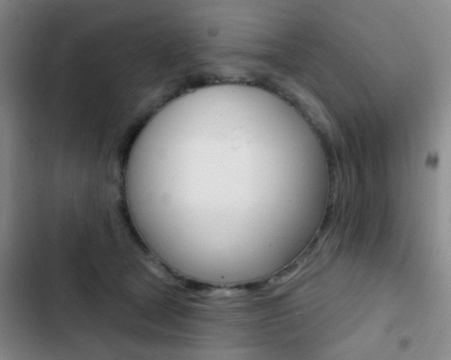 X0000103240465200808281037