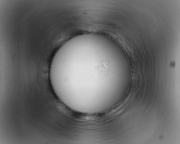 X0000103240466200808281037