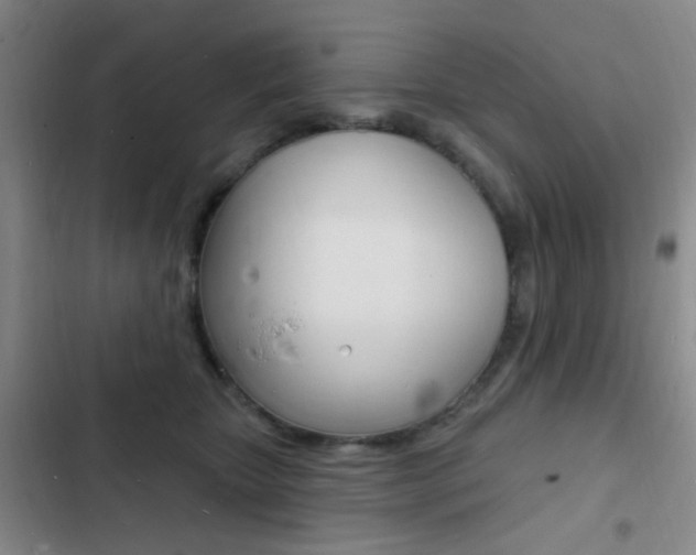X0000103240467200808281037