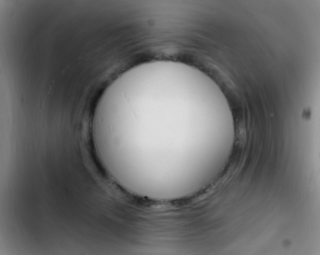X0000103240468200808281037