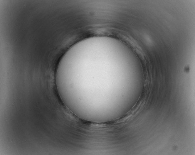 X0000103240469200808281037