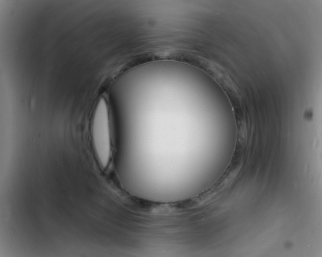 X0000103240470200808281037