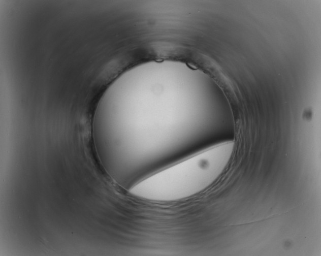 X0000103240471200808281037