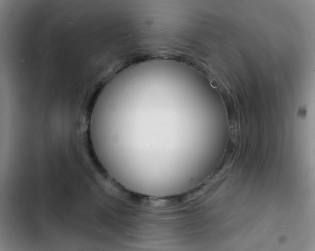 X0000103240472200808281037
