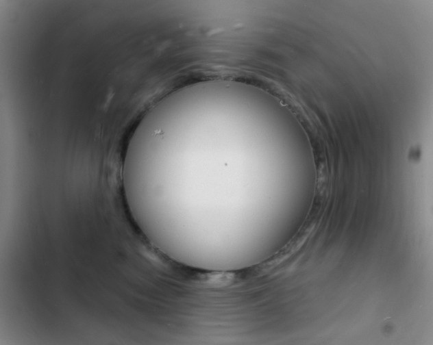 X0000103240474200808281037