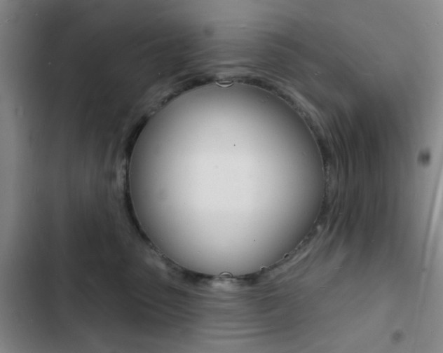 X0000103240475200808281037