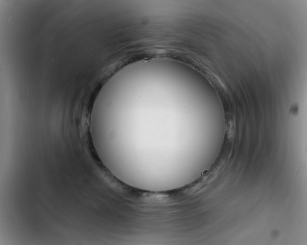X0000103240476200808281037