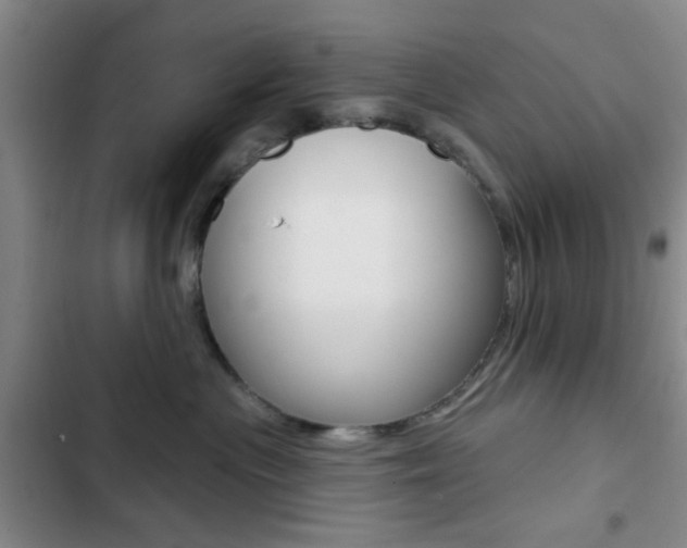 X0000103240477200808281037