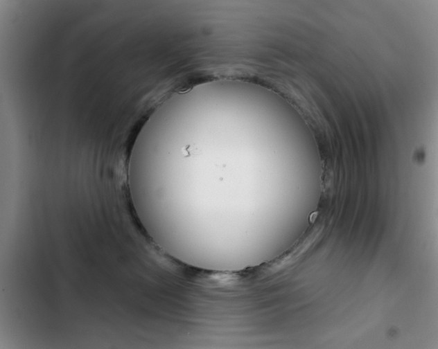 X0000103240478200808281037