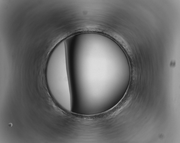 X0000103240481200808281037