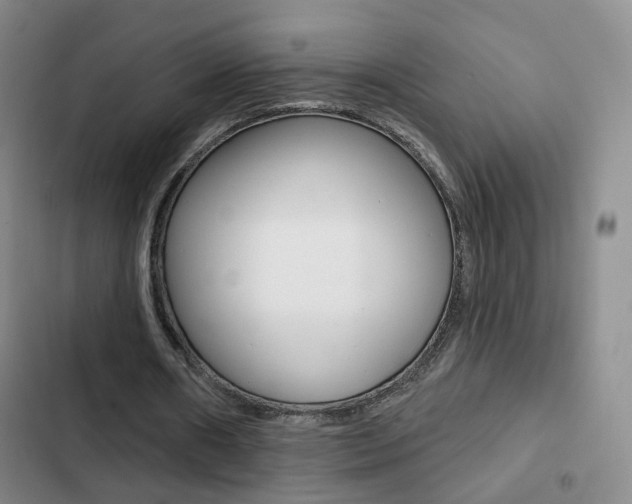 X0000103240482200808281037