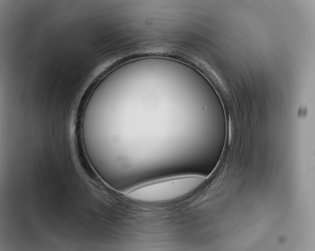X0000103240483200808281037