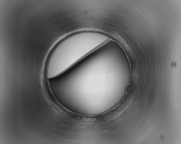 X0000103240484200808281037