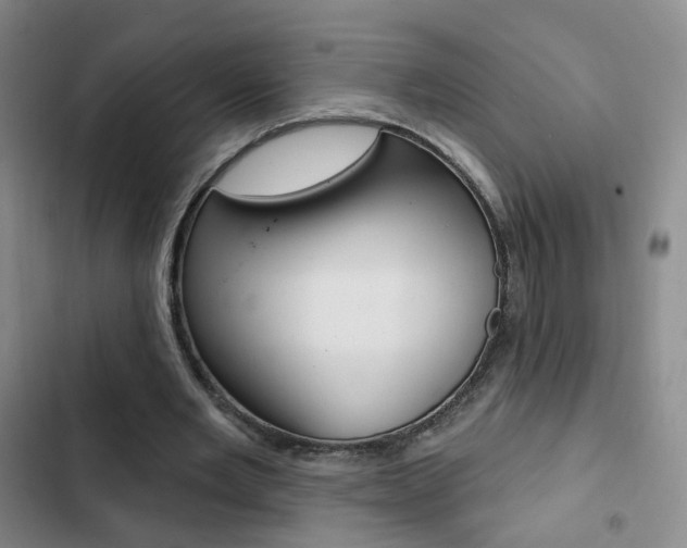X0000103240485200808281037