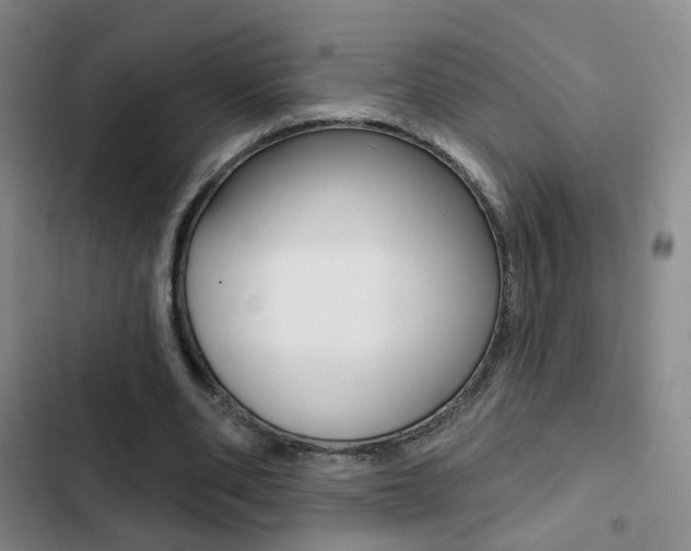 X0000103240486200808281037