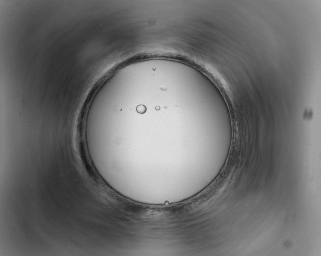 X0000103240487200808281037