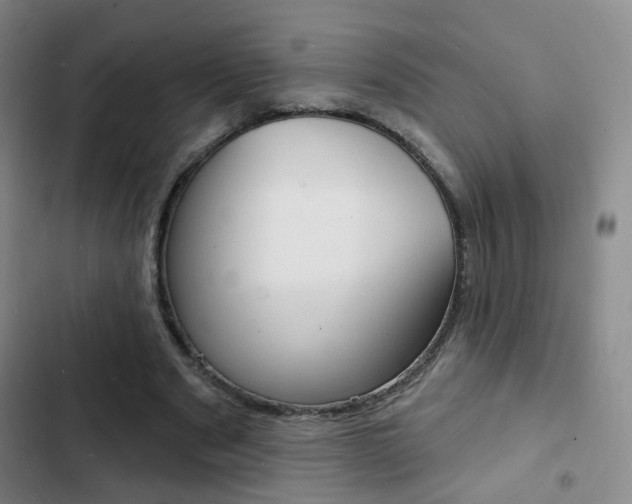 X0000103240489200808281037