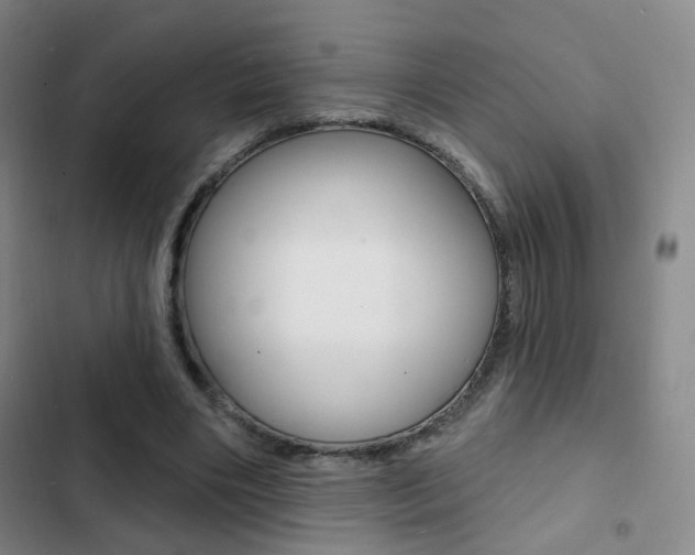 X0000103240490200808281037