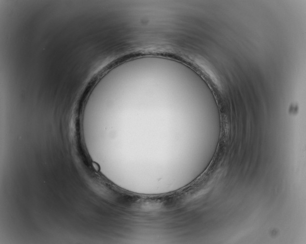 X0000103240491200808281037