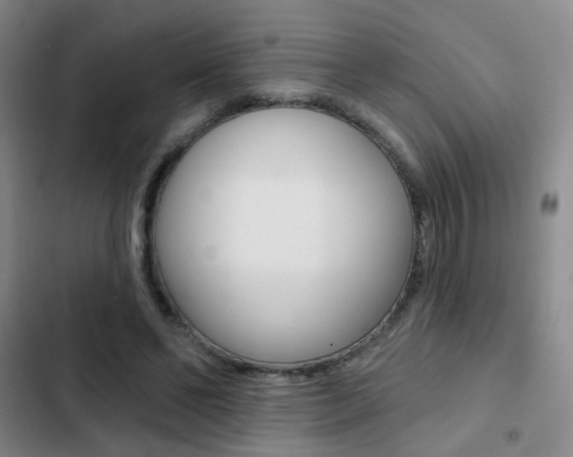 X0000103240494200808281037