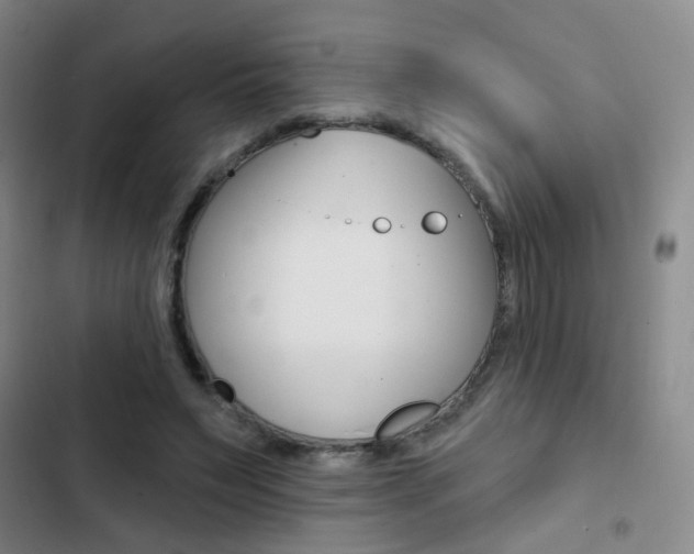 X0000103240495200808281037