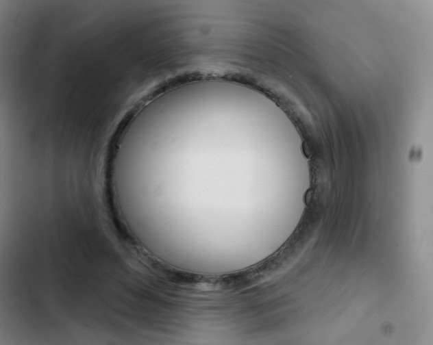 X0000103240496200808281037