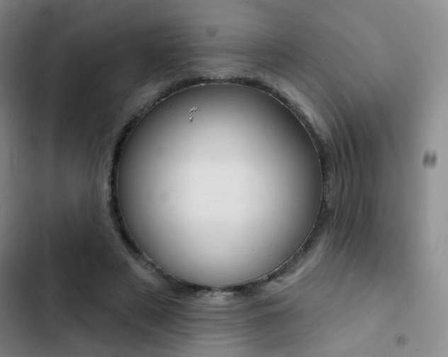 X0000103240497200808281037